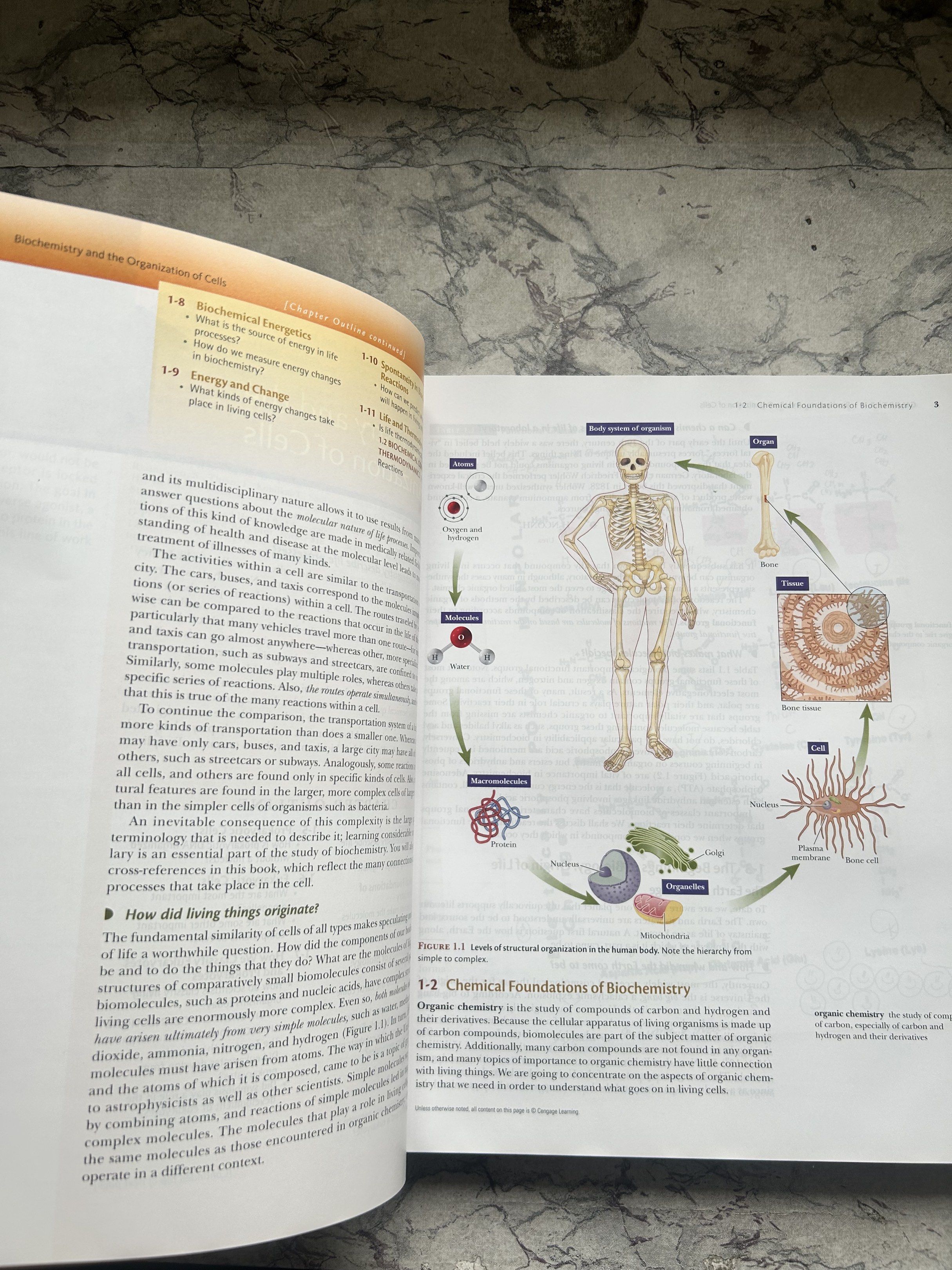 Biochemistry by Campbell and Supplement 8th edition (Category: Textbooks) located in Las Pinas. Submitted by dinnynavs (Listing ID 1417837720, Image 2). Description: - Biochemistry textbook (8th edition) Campbell - Includes supplement. Message for more details Delivery: (Fee shouldered by buyer) Gogo express (receive next day) Lalamove MOP: Gcash Paymaya .