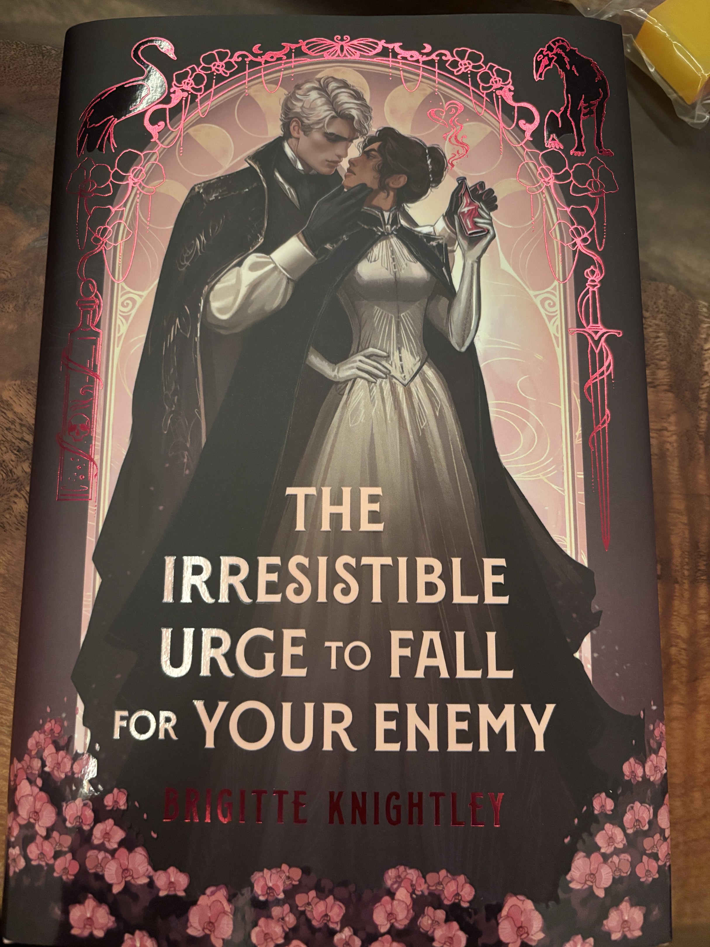 Fairyloot The Irresistible Urge to Fall for Your Enemy, Hobbies