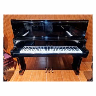 (Category: ) located in . Submitted by filpianosurplus (Listing ID 1417862146, Image 1). Description: .
