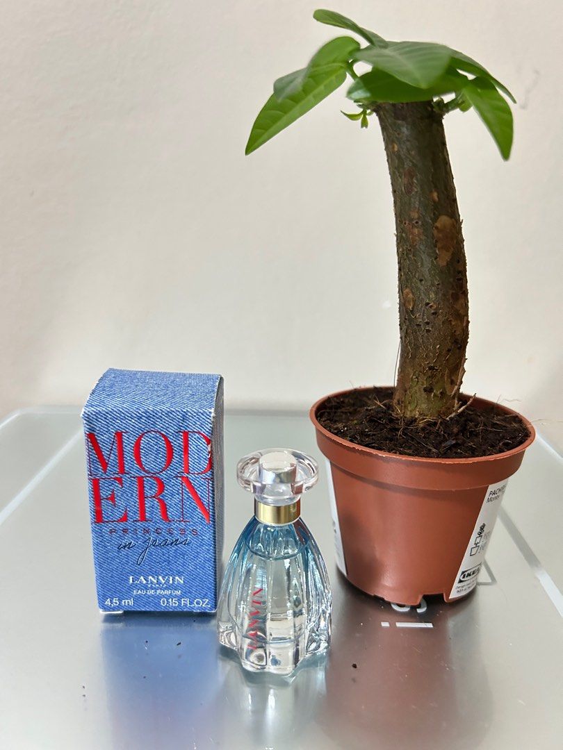 Lanvin Modern Princesa in Jeans EDP 4.5ml (Category: Fragrance & Deodorants) located in Lipa City. Submitted by intrepido (Listing ID 1417917612, Image 1). Description: .