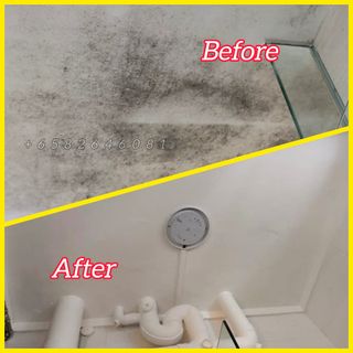 Anti Mould Treatment  Collection item 2