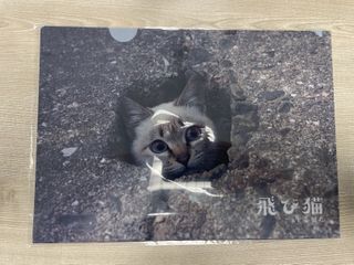 （分類：）位於 。 由 delaymm 提交（商品編號 1418043795，圖片 1）。簡介： 。