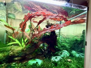 (Category: ) located in . Submitted by laconic84 (Listing ID 1418098973, Image 1). Description: .