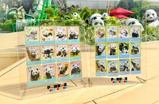 （分類：）位於 。 由 chipndale6 提交（商品編號 1418082997，圖片 1）。簡介： 。