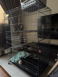 (Category: ) located in . Submitted by dylonchoong (Listing ID 1418161219, Image 1). Description: .