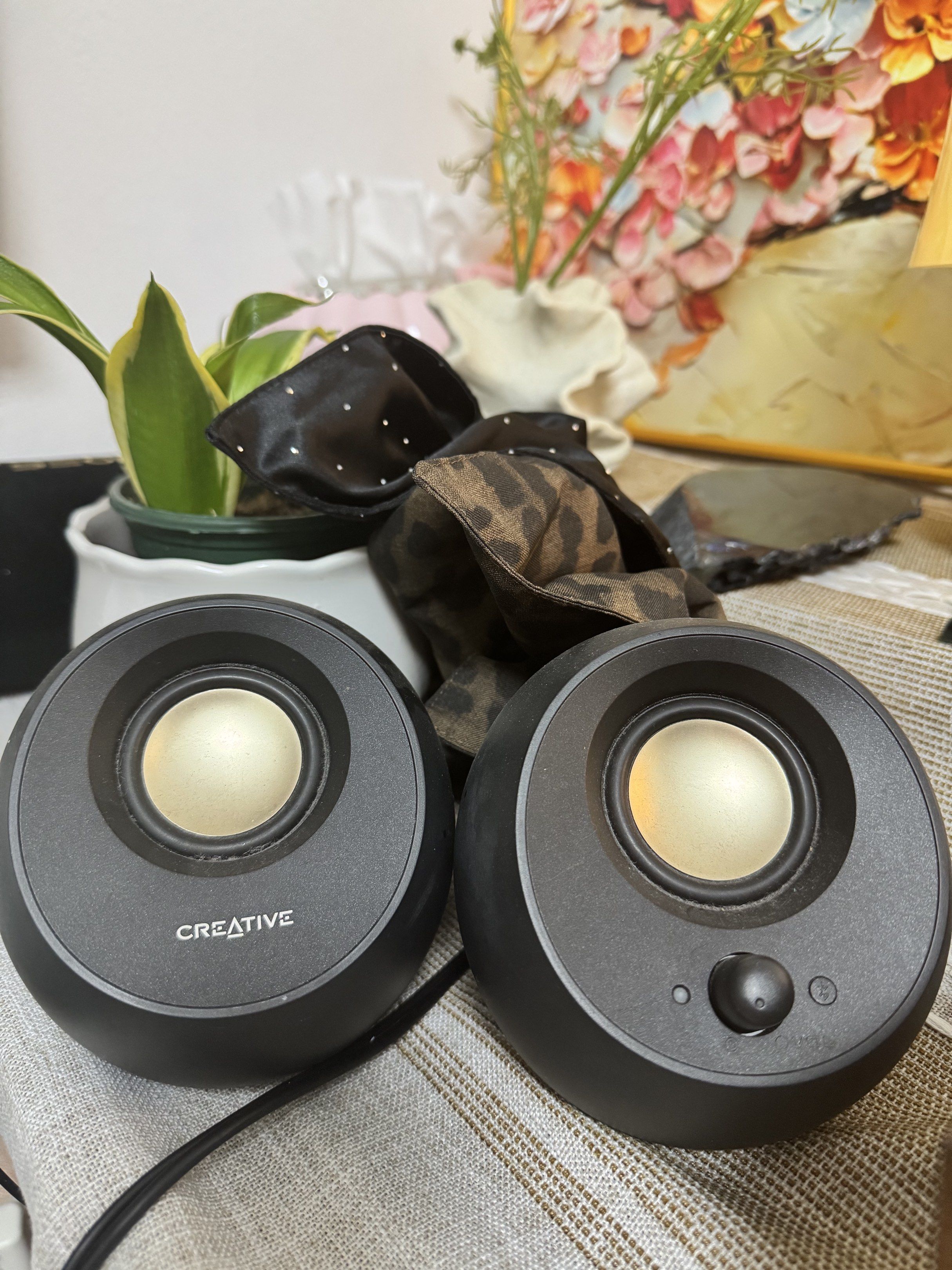 Creative Speakers65561063012227110