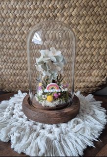 (Category: ) located in . Submitted by wildbotanics (Listing ID 1418124148, Image 1). Description: .