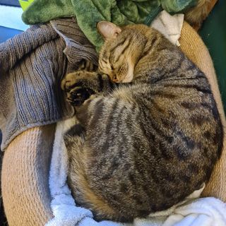 (Category: ) located in . Submitted by armstrong (Listing ID 1418195895, Image 1). Description: .