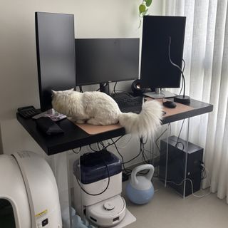 (Category: ) located in . Submitted by fundmysoul (Listing ID 1418097817, Image 1). Description: .