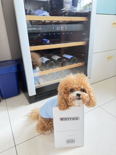 （分類：）位於 。 由 smtnice 提交（商品編號 1418066805，圖片 1）。簡介： 。