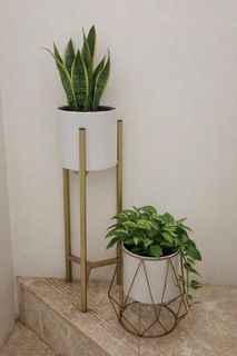 (Category: ) located in . Submitted by maliha79 (Listing ID 1418138236, Image 1). Description: .