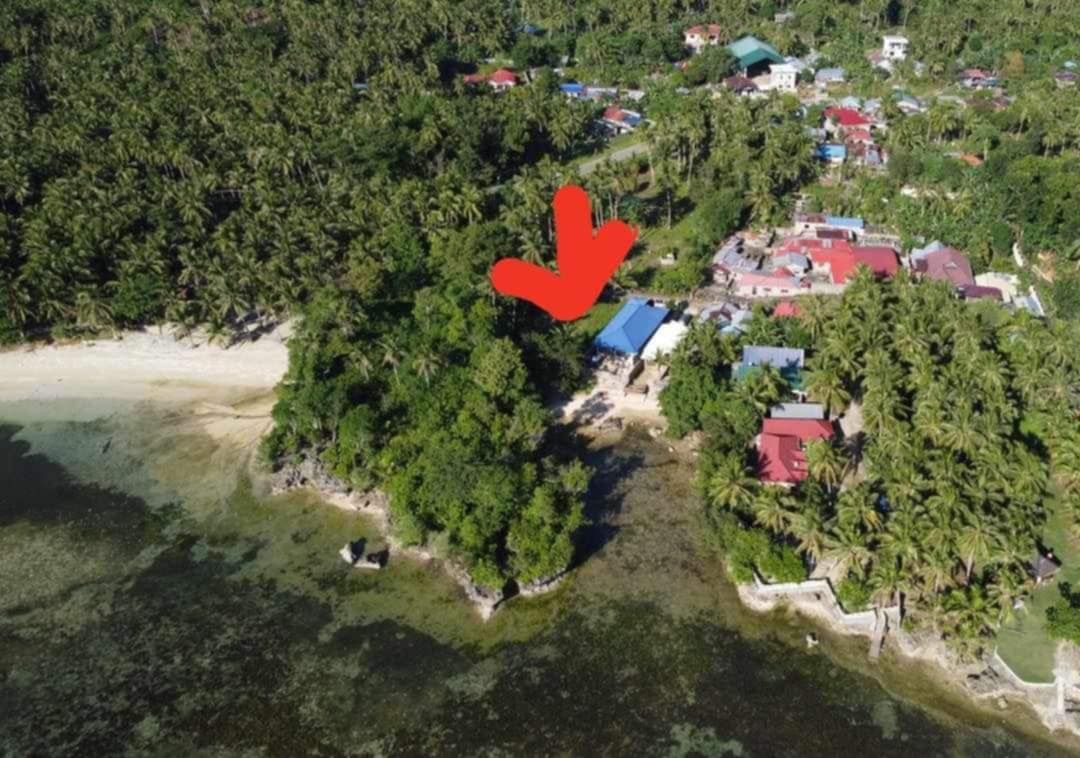 Beachfront Lot For Sale (Category: Lot) located in Caloocan City. Submitted by feleanastore_955 (Listing ID 1418240384, Image 3). Description: Sandy white beach located in Macrohon, Southern Leyte ( Region VIII ). Area size 1,045 sq.m along cemented road and walking distance towards the Highway. Peaceful area, very exclusive type of area. Message me ( the owner ) if you are interested. .