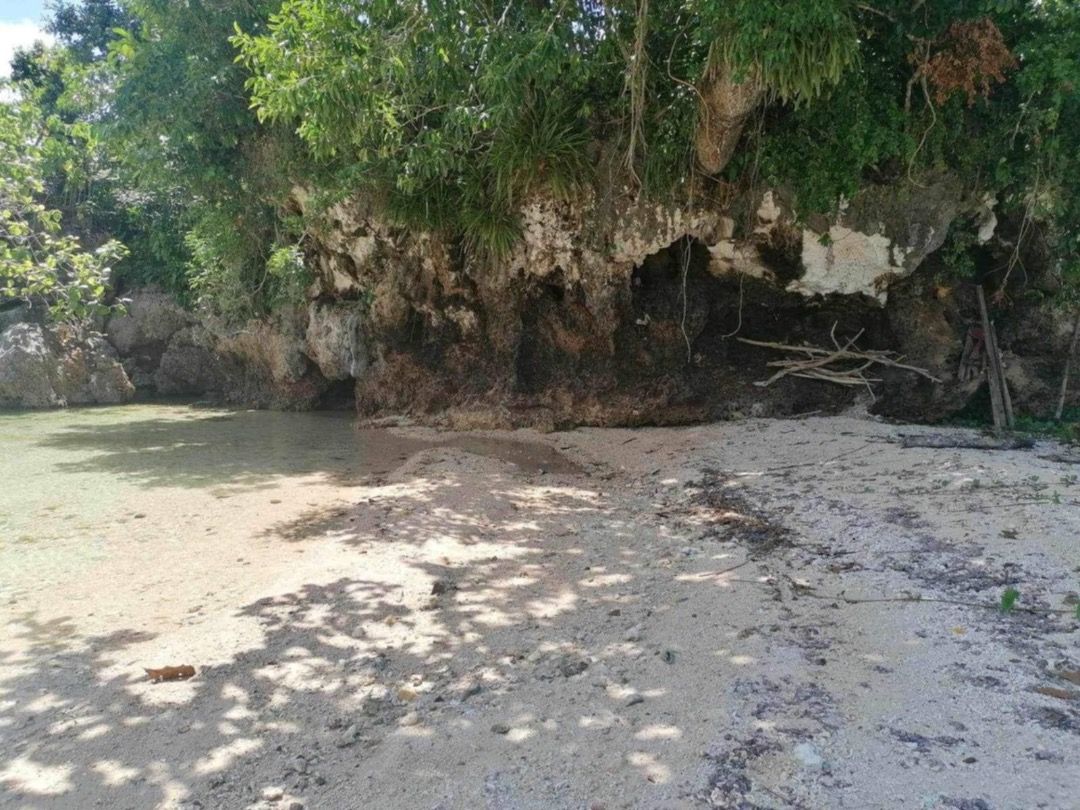 Beachfront Lot For Sale (Category: Lot) located in Caloocan City. Submitted by feleanastore_955 (Listing ID 1418240384, Image 2). Description: Sandy white beach located in Macrohon, Southern Leyte ( Region VIII ). Area size 1,045 sq.m along cemented road and walking distance towards the Highway. Peaceful area, very exclusive type of area. Message me ( the owner ) if you are interested. .