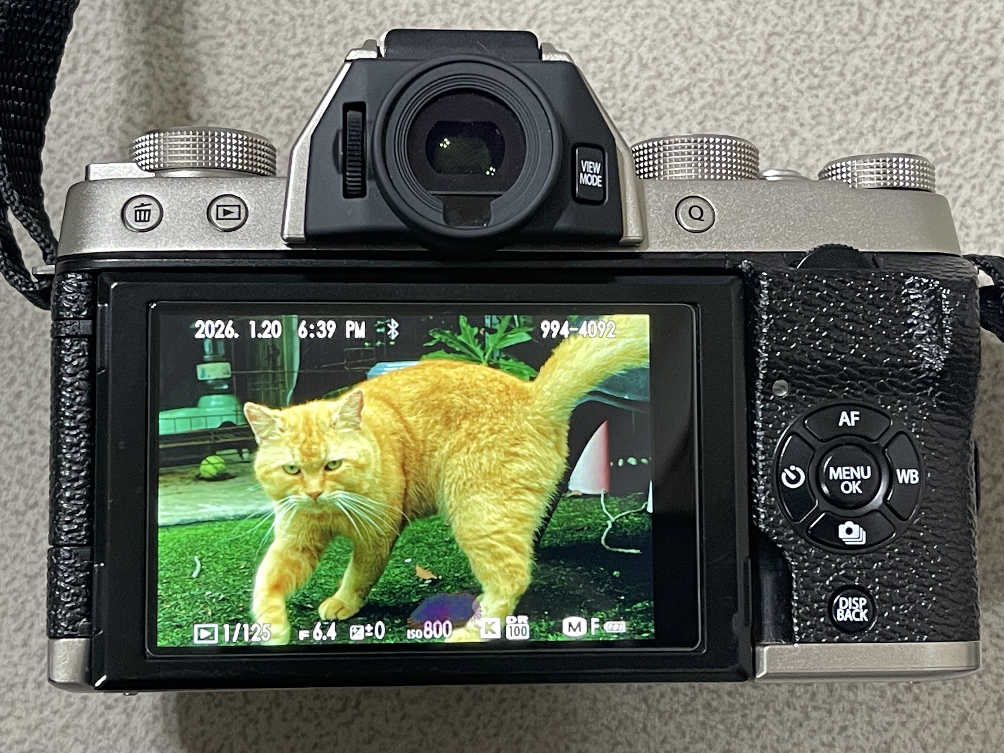 Fujifilm X-T100 body, Photography, Cameras on Carousell