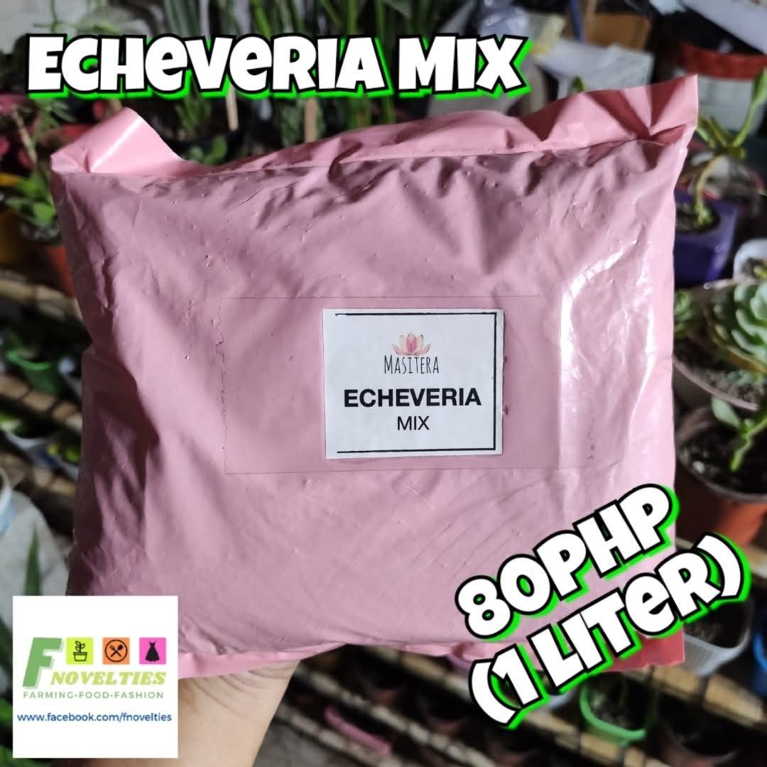 Echeveria Mix 1 Liter (Category: Soil & Fertilisers) located in Muntinlupa City. Submitted by fnovelties (Listing ID 1418427010, Image 1). Description: Echeveria Mix available in 1-liter bags. From Masitera. Perfect for echeveria succulents.