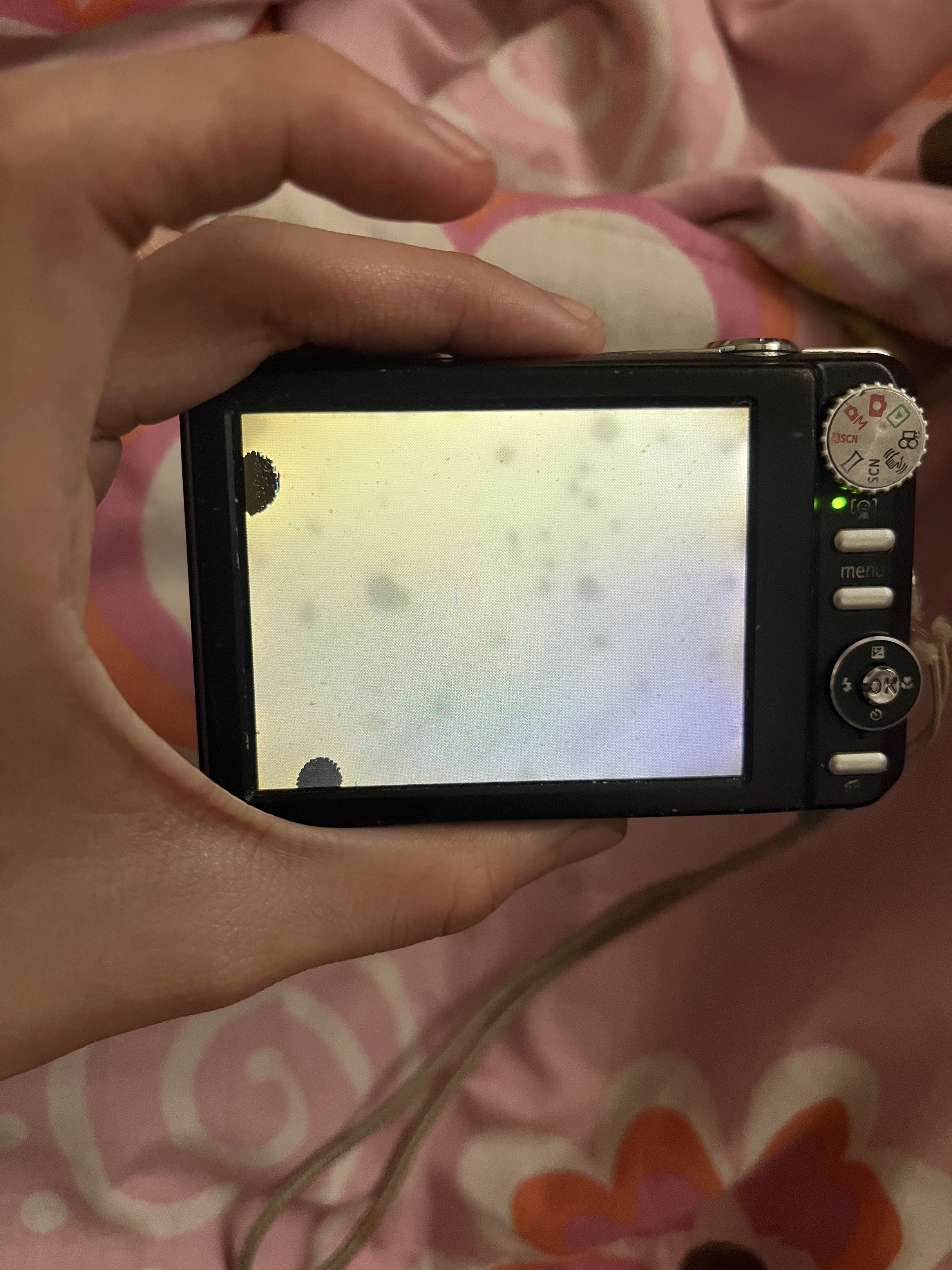 GE digital camera (Category: Cameras) located in Carmona. Submitted by sighhhjussss (Listing ID 1418404278, Image 2). Description: -working but as you can see its a white screen. Dont have the time to get it fixed so im selling it.
