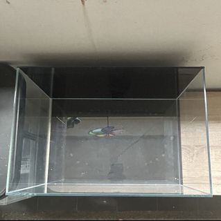 (Category: ) located in . Submitted by mikkymikk (Listing ID 1418493069, Image 1). Description: .