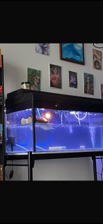 (Category: ) located in . Submitted by coffeelover123321 (Listing ID 1418499809, Image 1). Description: .