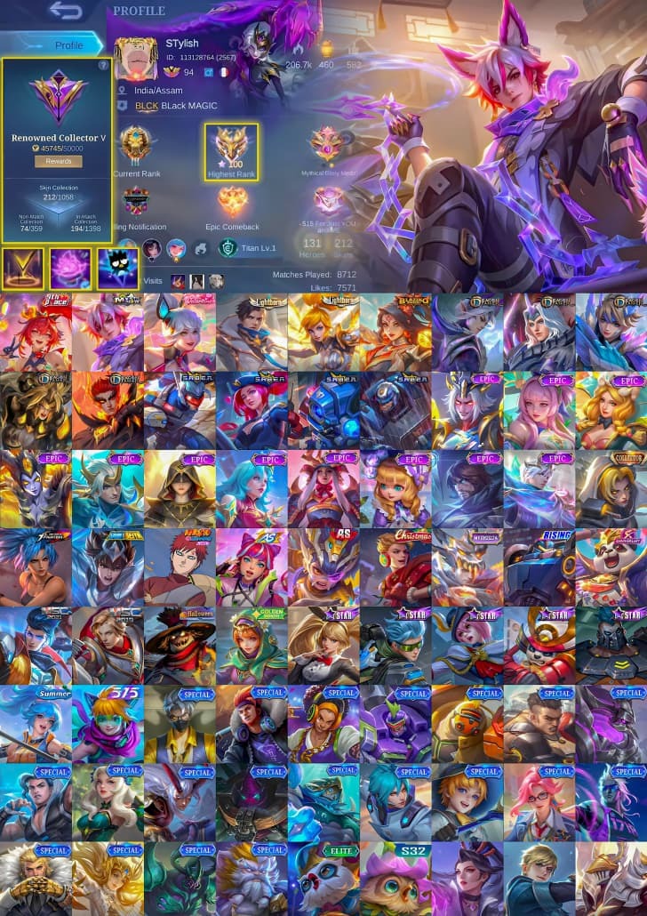 [Max Hero + Emblem] Pace Cici | Meow Julian | Lightborn Granger | SMURF ...