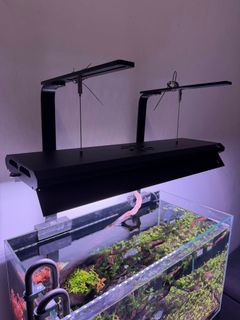 (Category: ) located in . Submitted by psucable (Listing ID 1418506055, Image 1). Description: .