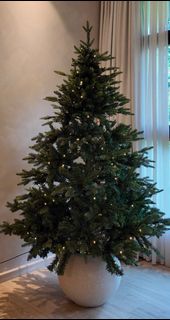(Category: ) located in . Submitted by meowyy (Listing ID 1413224613, Image 1). Description: .