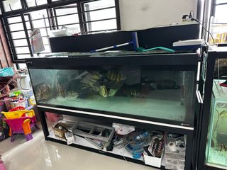 (Category: ) located in . Submitted by yankimoro (Listing ID 1413341511, Image 1). Description: .
