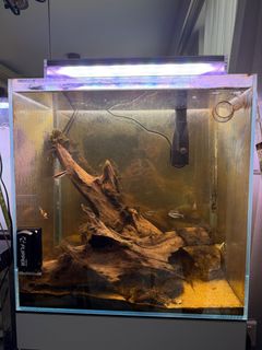 (Category: ) located in . Submitted by sylau82 (Listing ID 1413273597, Image 1). Description: .