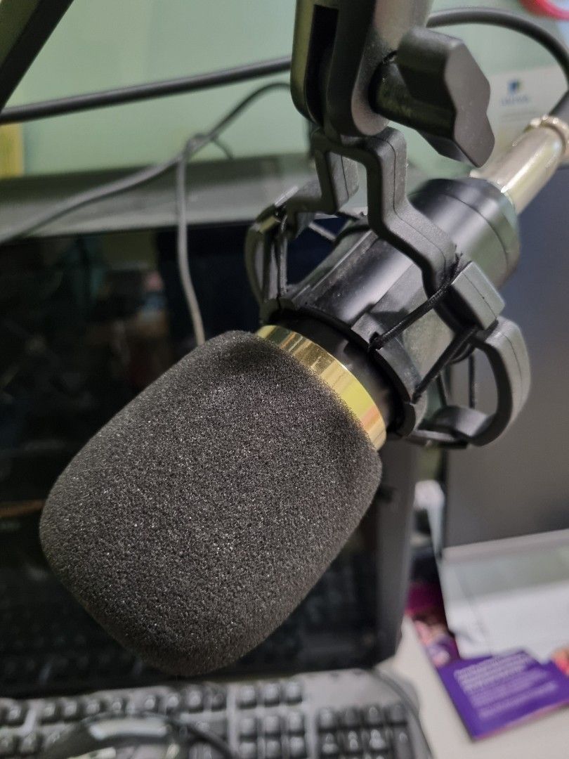 Studio Microphone with Boom Arm
