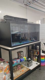 (Category: ) located in . Submitted by amzardya (Listing ID 1418637953, Image 1). Description: .