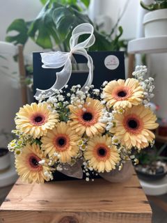 (Category: ) located in . Submitted by theblooms2 (Listing ID 1418605580, Image 1). Description: .