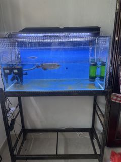 (Category: ) located in . Submitted by berrylanapen (Listing ID 1418711095, Image 1). Description: .