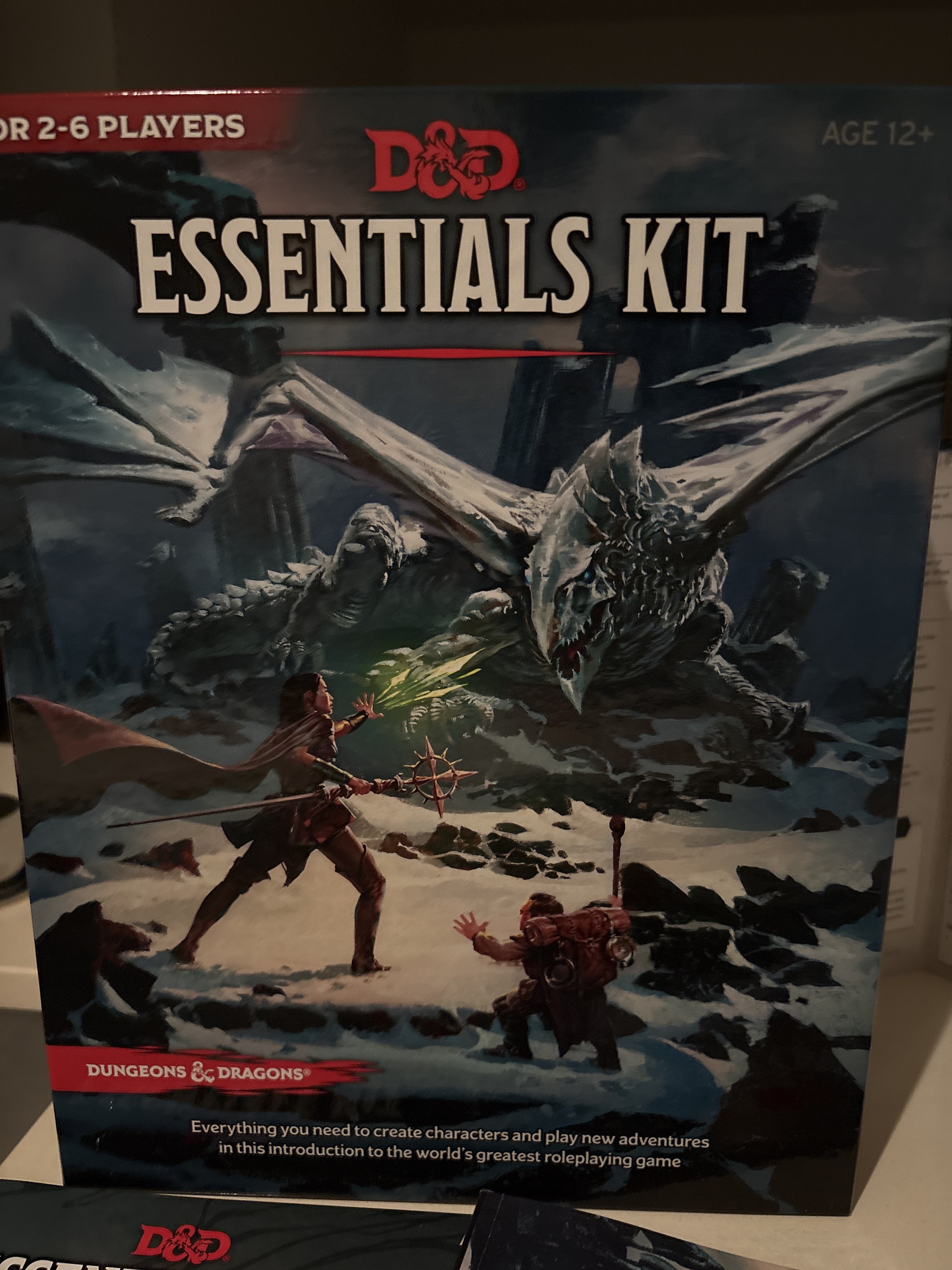 Dungeons & Dragons Essentials Kit, Hobbies & Toys, Toys & Games on ...