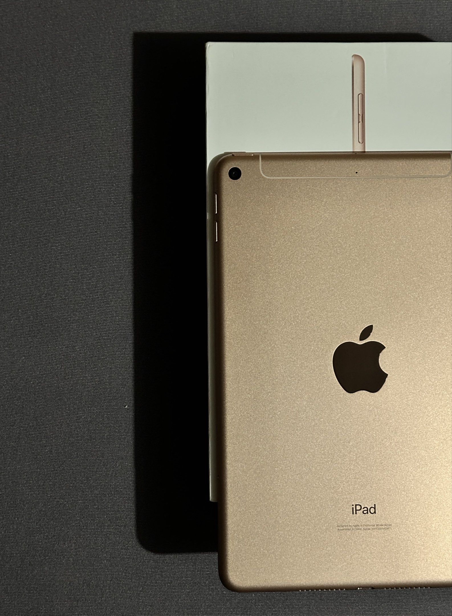 iPad Mini 5th Gen Cellular (Category: iPad) located in Makati City. Submitted by dave.msn_gdgt (Listing ID 1418766151, Image 3). Description: 256 GB Cellular Gold With Original Box and Charger No Issue Pull out unit kami na nag unbox for quality check, pwede na rin ma consider as open box unit. bagong bagong talaga. Note: Kindly message me for the design and pictures, kapag hindi ako maka reply means max quota na here at carousel, you can contact