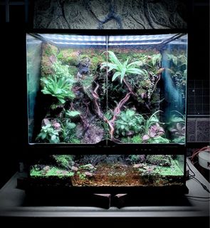 (Category: ) located in . Submitted by nativeforest9 (Listing ID 1418652177, Image 1). Description: .