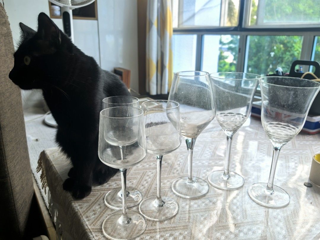 Set of 6 Assorted Wine Glasses446256367398430722