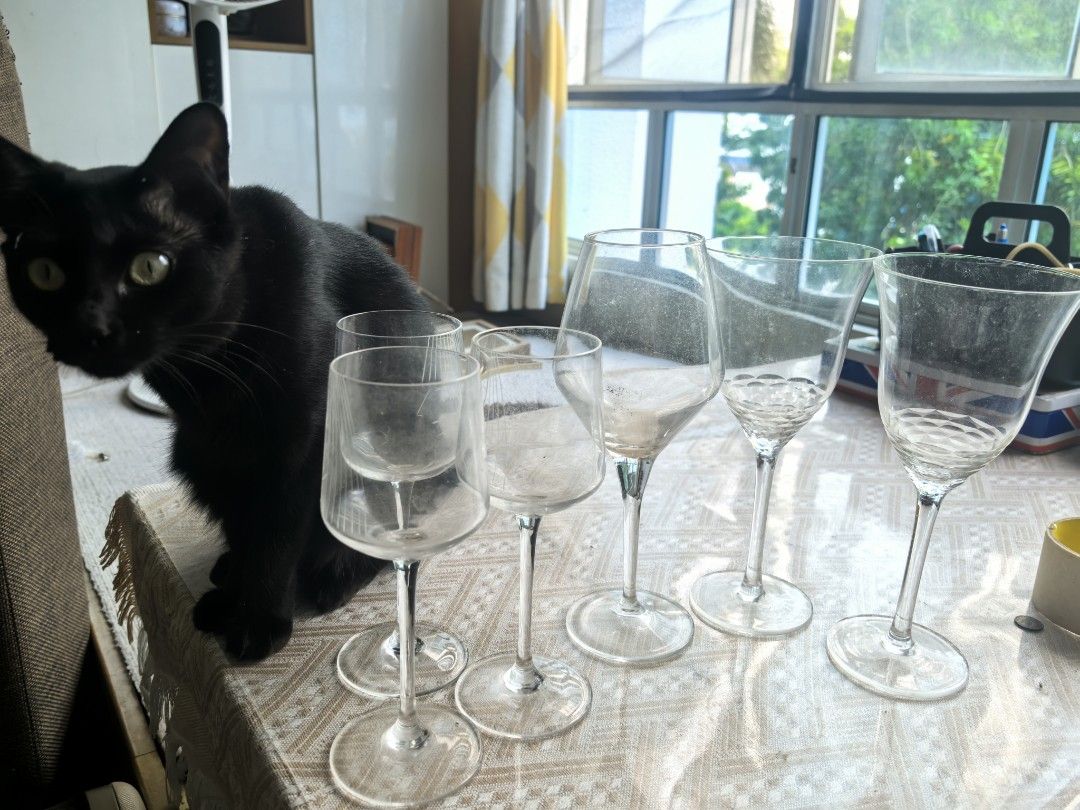 Set of 6 Assorted Wine Glasses446256367398430720