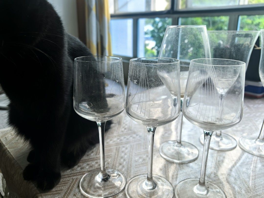 Set of 6 Assorted Wine Glasses446256367398430723