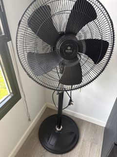 (Category: ) located in . Submitted by ivory.rack (Listing ID 1418645588, Image 1). Description: .