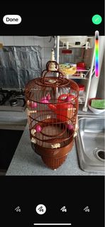 (Category: ) located in . Submitted by samykt (Listing ID 1418745950, Image 1). Description: .