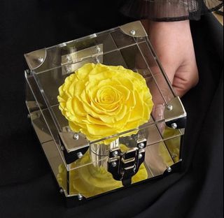 (Category: ) located in . Submitted by arcade_florist (Listing ID 1418953549, Image 1). Description: .