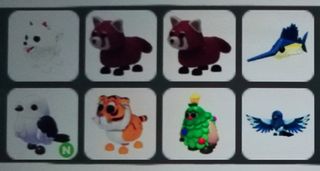 (Category: ) located in . Submitted by nat-o-lantern (Listing ID 1418908896, Image 1). Description: .