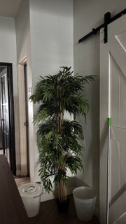 (Category: ) located in . Submitted by roshraz (Listing ID 1418879861, Image 1). Description: .