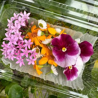（分類：）位於 。 由 _delightgarden 提交（商品編號 1418779255，圖片 1）。簡介： 。