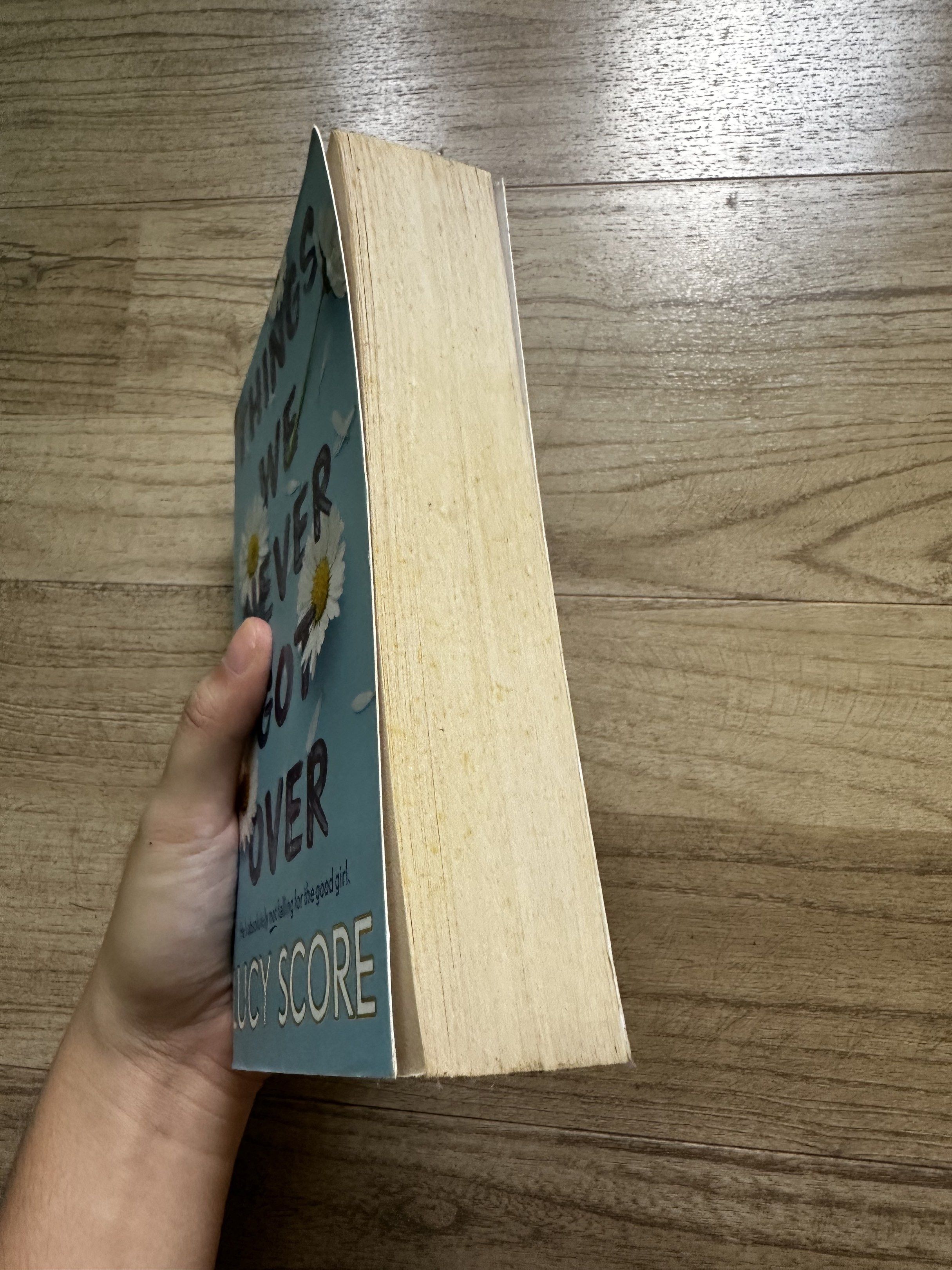 Lucy Score Things We Never Got Over Series, Hobbies & Toys, Books ...