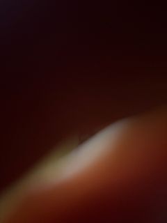 (Category: ) located in . Submitted by user879162428 (Listing ID 1418836769, Image 1). Description: .