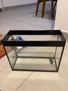 (Category: ) located in . Submitted by soawrya (Listing ID 1413601001, Image 1). Description: .