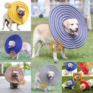 (Category: ) located in . Submitted by mistycakesbestbeagle (Listing ID 1413483794, Image 1). Description: .
