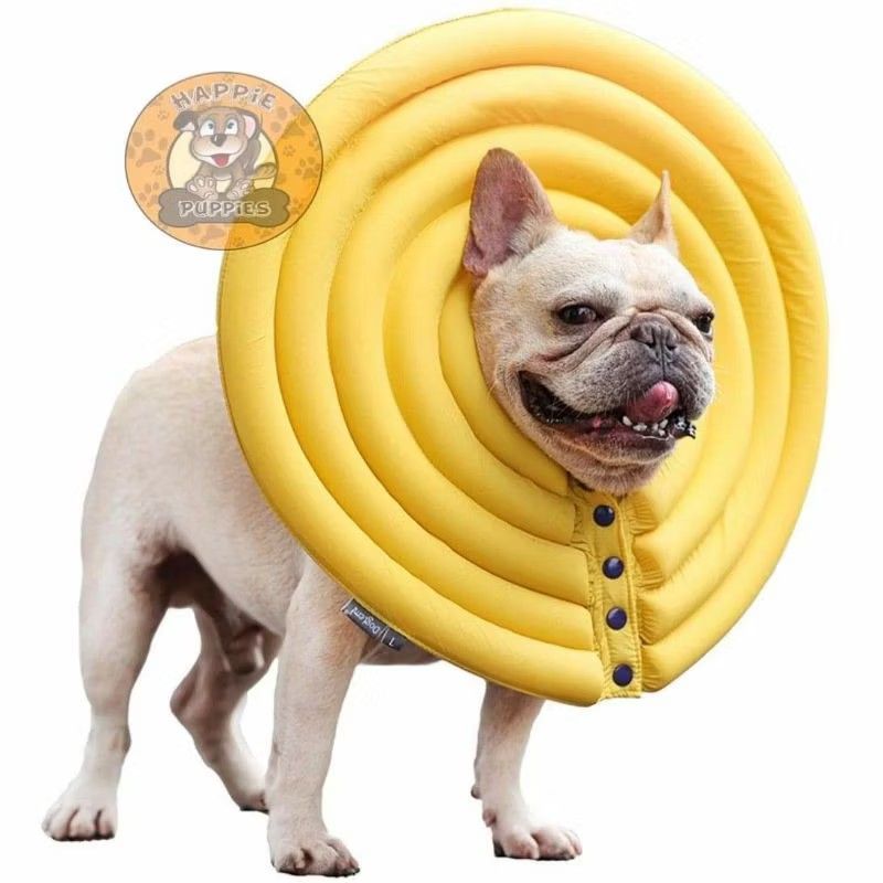Royal Highness Dog Recovery Collar (Category: Health & Grooming) located in Paranaque City. Submitted by mistycakesbestbeagle (Listing ID 1413483794, Image 2). Description: RFS: decluttering ✅ used twice ✅ what you see is what you get ✅ bought from Shop33 for PHP 669 ✅ size L neck measurement 30-35 cm.