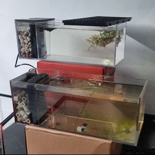 (Category: ) located in . Submitted by sellpoint (Listing ID 1413646513, Image 1). Description: .