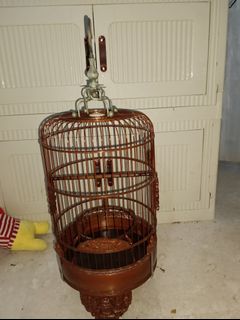 (Category: ) located in . Submitted by surebestpet (Listing ID 1413446671, Image 1). Description: .